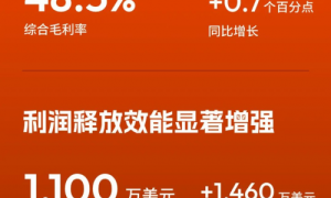 涂鸦智能发布2025年Q1财报：营收与利润双增，携手全球开发者加速AI应用落地