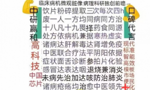 央视栏目编导与AI中医赢和方联合疗法十化普科研团队达成合作共识
