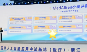 国家级金标准定调！“Ai好医生诊疗支持系统”基座模型荣膺年度优秀国产大模型